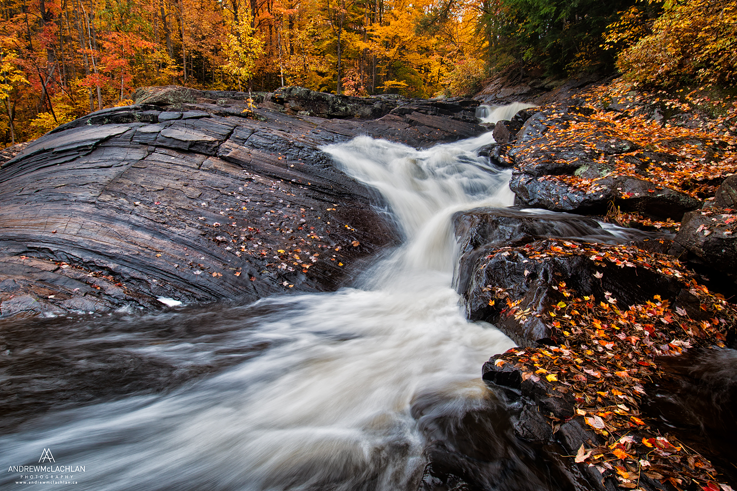 Autumn color at Stubbs Falls, Arrowhead Provincial Park, Ontario, Canada