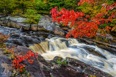 Autumn color on the Rosseau River, Muskoka, Ontario, Canada