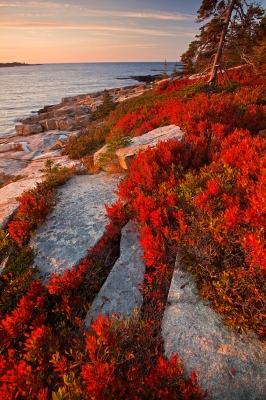 Coastline on the Schoodic Peninsula, Acadia National Park, Maine, USA