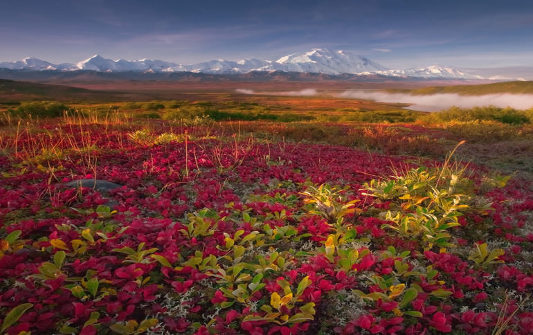 Photo by Kevin McNeal