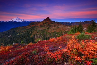 Sunrise Alpenglow Over Fall Color and Mt Baker in the Mt Baker Wilderness in the north Cascades of Washington