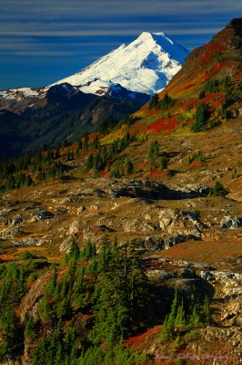 Fall Color and Mt Baker From Yellow Aster Butte in the Mt Baker Wilderness in Washington