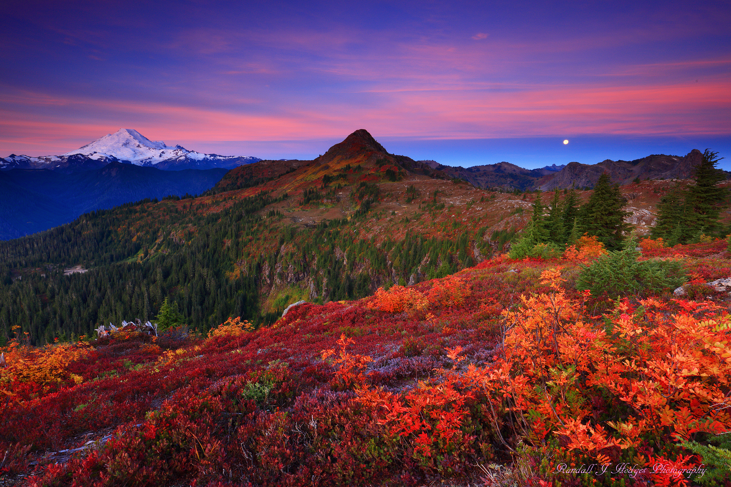Sunrise Alpenglow Over Fall Color and Mt Baker in the Mt Baker Wilderness in the north Cascades of Washington