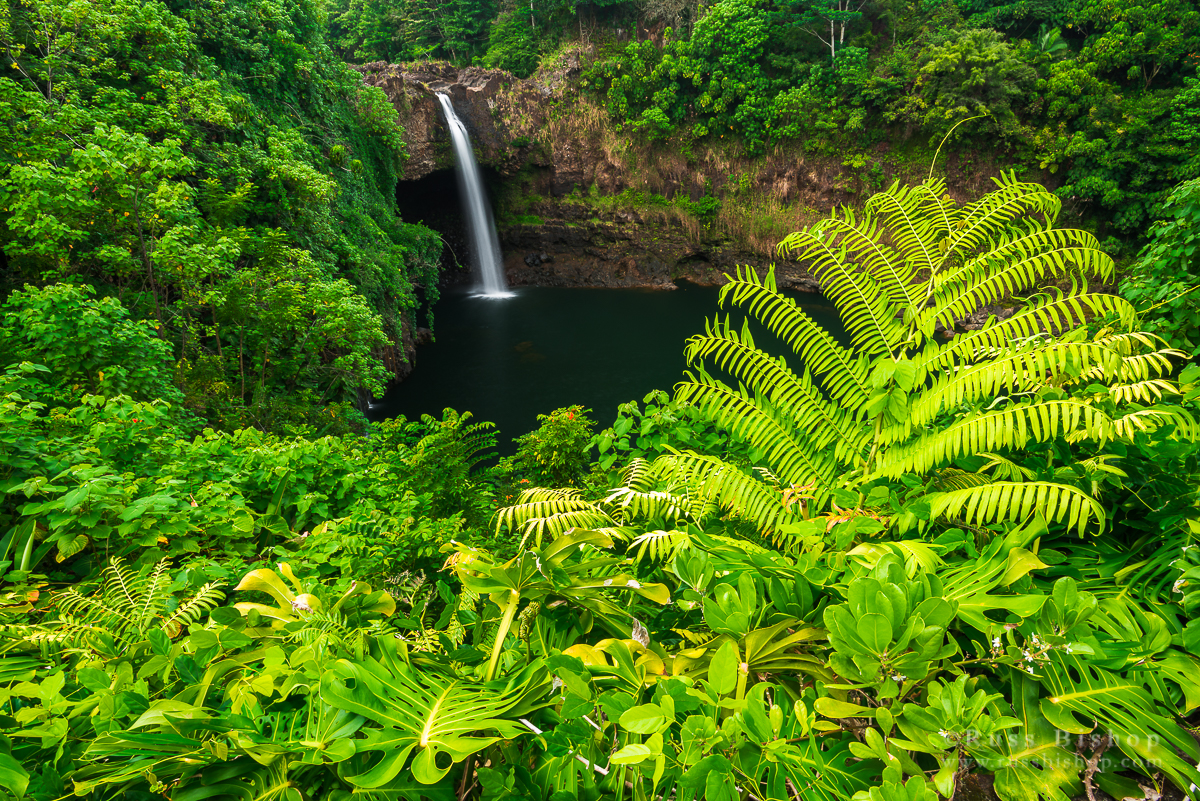 Rainbow Falls, Wailuku River State Park, Hilo, The Big Island, Hawaii USA