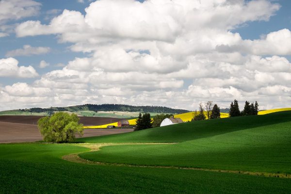 Palouse-Light10