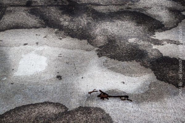 A black and white image of a puddle on the ground.