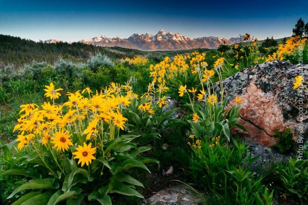 Tetons Mountains Wyoming Jackson Summer