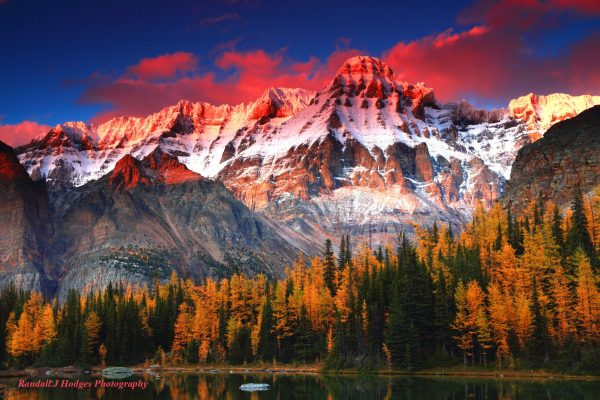 Sunset on Mt Huber As it Towers Over Golden Larch On Shaffer Lake in the Lake Ohara Region of Yoho National Park in Brittish Columbia Canada