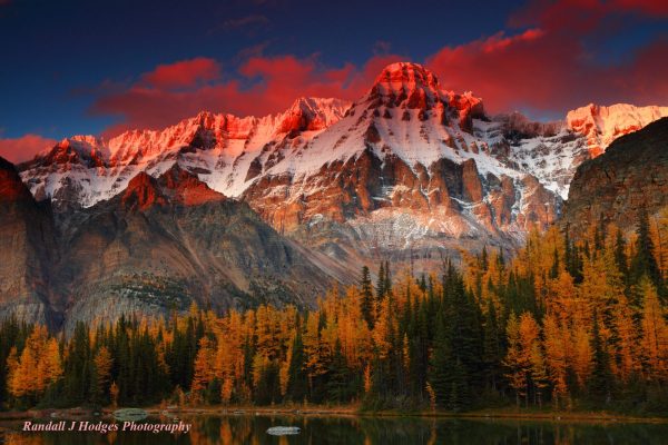 Photo of red sunset with snowy mountains in the backround and trees in the foreground