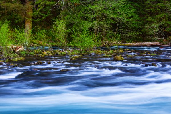 Photo of a running stream with trees in the backround