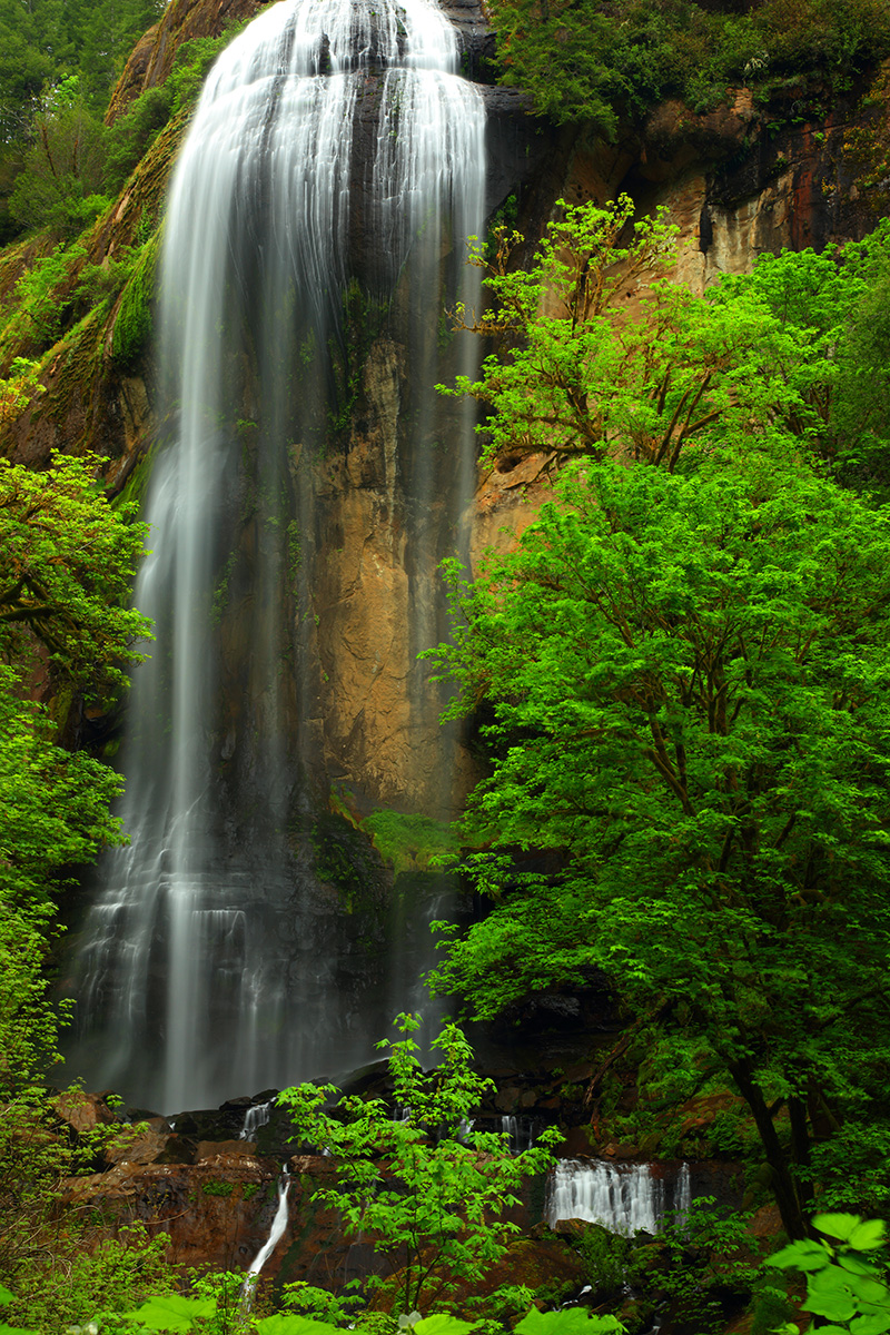 Silver Falls in Golden and Silver Falls State Natural Area in Oregon