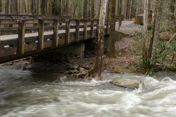 Wooden bridge over rushing river in forest.