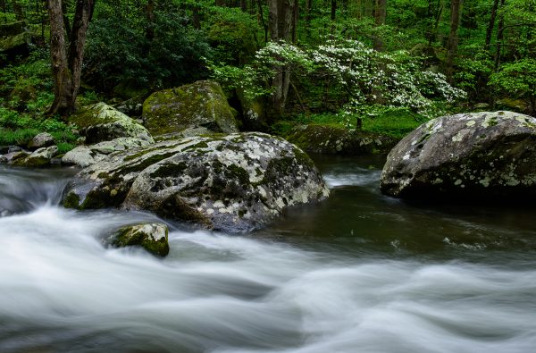 Townsend, TN. Great Smoky Mountain National Park