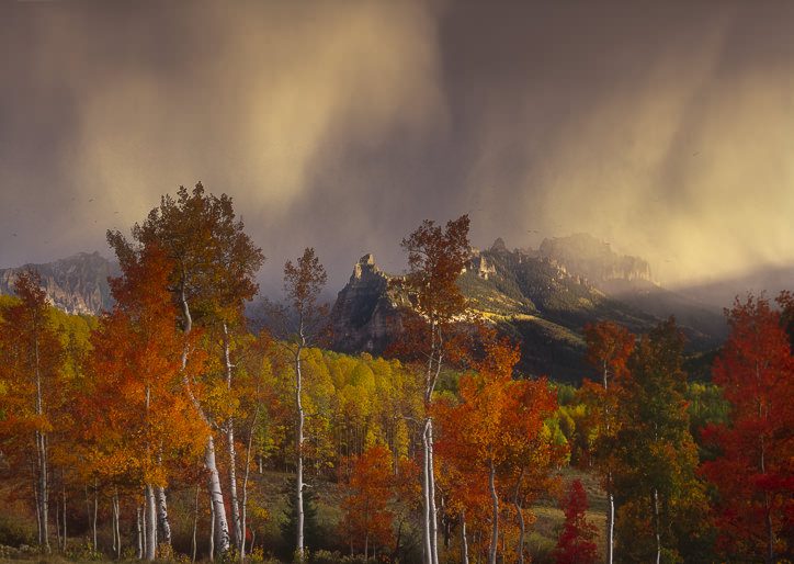 Fall foliage with mountains in the background.
