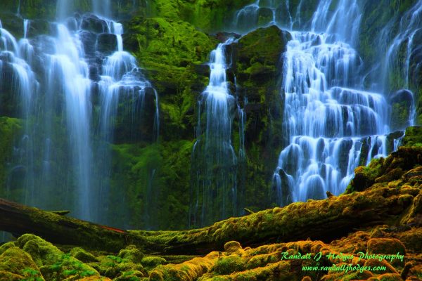 Proxy Falls Photo Taken by Randall Hodges