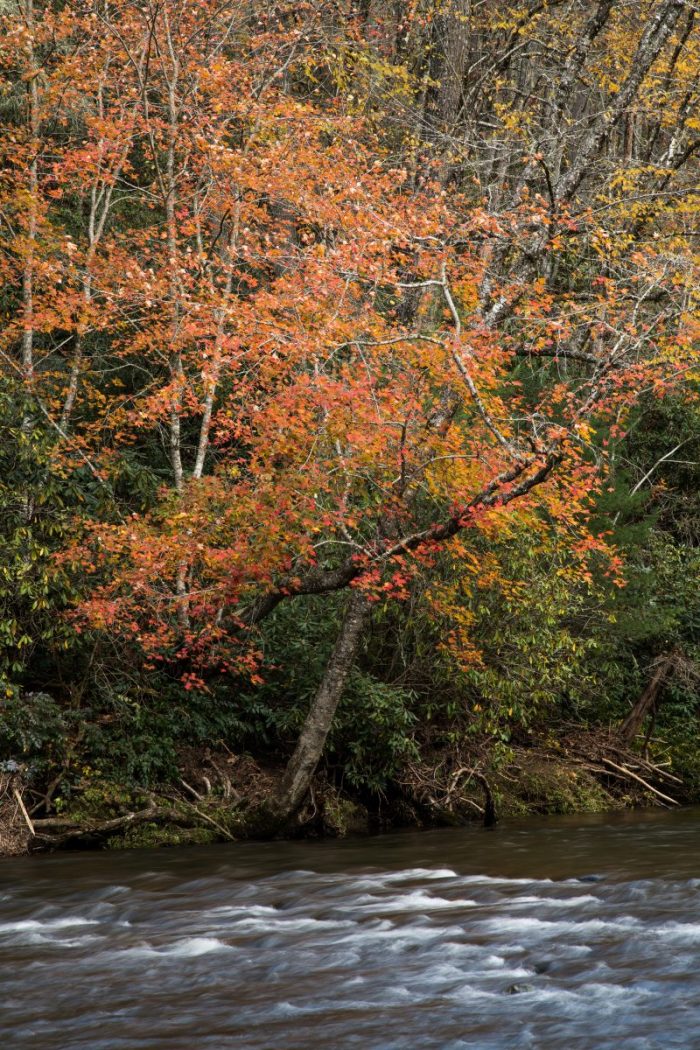Rushing River in Fall, by Bryan Hansel