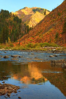 Autumn foliage reflected in a river.