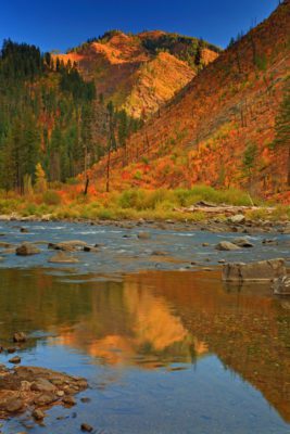 Autumn foliage reflected in a river.