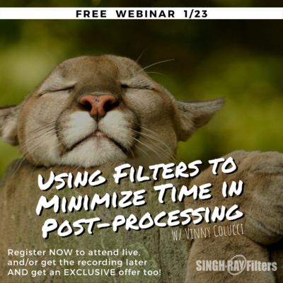 Using Filters to Minimize Time in Post-processing w/ Vinny Colucci