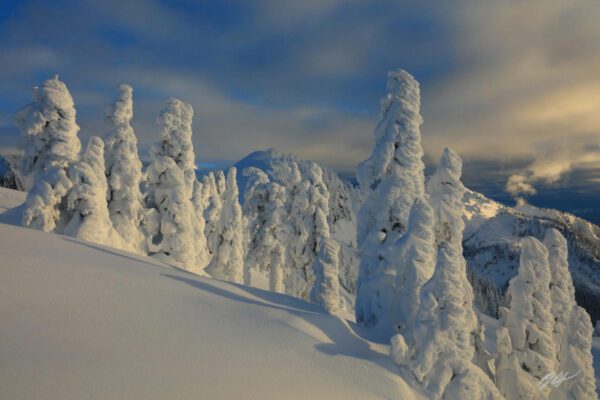 Snow-covered trees on a mountain peak.