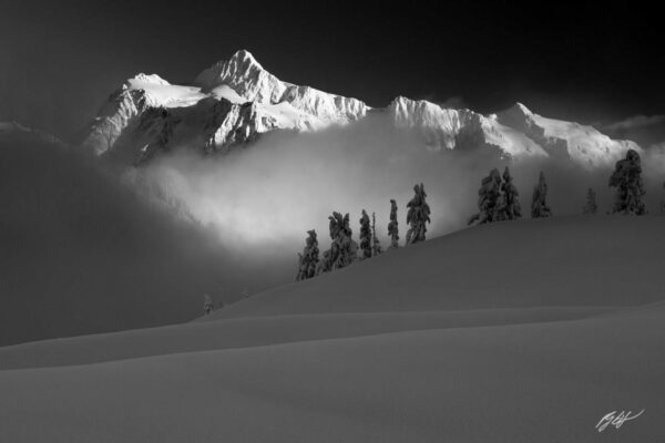 Snowy mountain peak with trees in black and white.